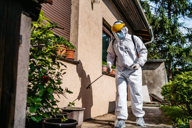 Best Termite Control Services  in Evanston, WY