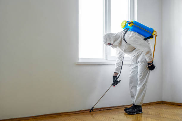 Best Affordable Exterminators  in Evanston, WY