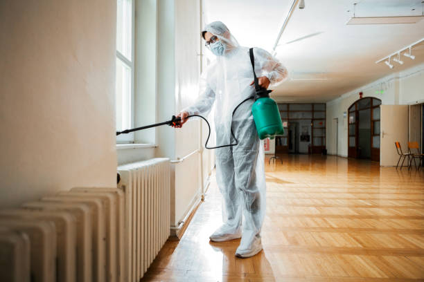 Best Local Pest Control Services  in Evanston, WY