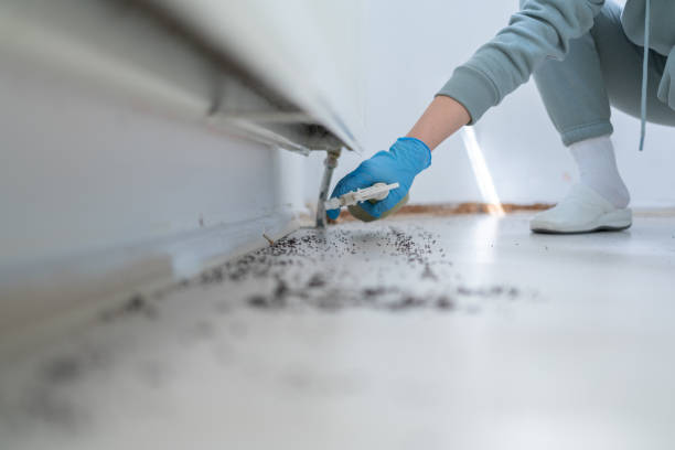 Best Mosquito Control Services  in Evanston, WY